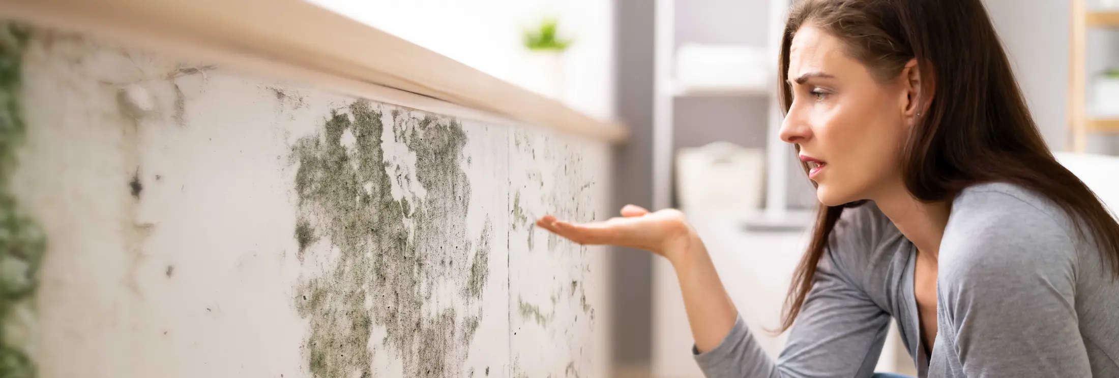 Fallrohrsanierung Ulm Fallrohrsanierung Ulm